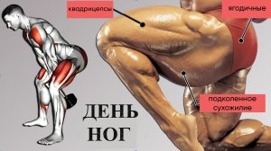 🔥  99% Людей Пропускают Эти Упражнения Для Ног – Вот Почему у Них НЕ Растут Ноги