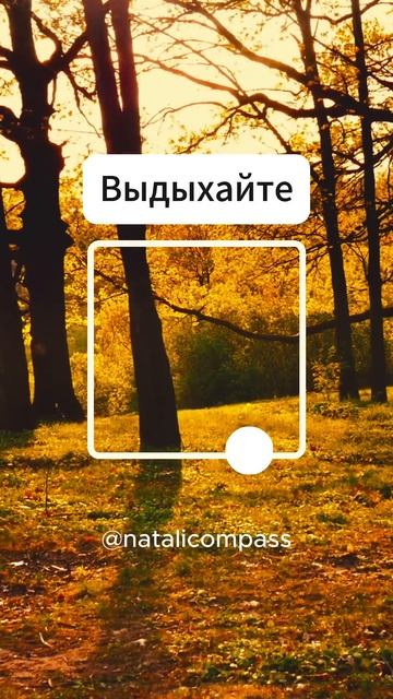 Дыхание Сброс стресса дыхание дыхательнаягимнастика дыхательныепрактики