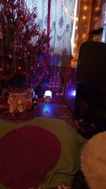 Кот Атос любит отдыхать под ёлкой #shorts #котатос #ёлка #котиёлка #отдых смотреть онлайн