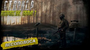 ЛЕСОПОЛОСА ➤ Сталкер Возвращение Шрама 2 #28