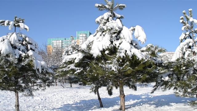 14=01=2026 КМР (2) КРАСНОДАР. смотреть онлайн