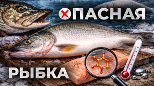 Опасный улов: как не ошибиться с северной рыбой