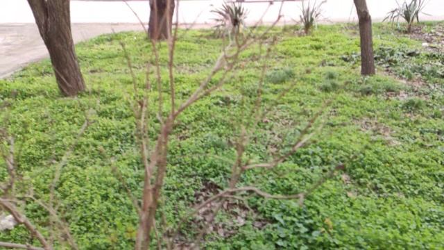 Один из дней города Евпатории | 5 февраля 2021 г | Крым | ХАН БАТОН XAH 6ATOH / VID_20210205_140525 смотреть онлайн