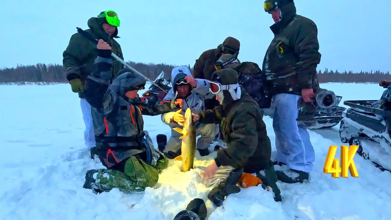 СЧАСТЛИВЫ ОТ ТАКОЙ РЫБАЛКИ, ТРОФЕИ ЕСТЬ, ОНИ НЕ МОГУТ НЕ ЕСТЬ, ЗИМНЯЯ РЫБАЛКА | 3 ЧАСТЬ.