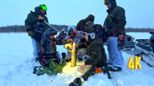 СЧАСТЛИВЫ ОТ ТАКОЙ РЫБАЛКИ, ТРОФЕИ ЕСТЬ, ОНИ НЕ МОГУТ НЕ ЕСТЬ, ЗИМНЯЯ РЫБАЛКА | 3 ЧАСТЬ.