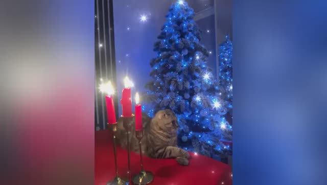 Старый Новый год 🎅 смотреть онлайн