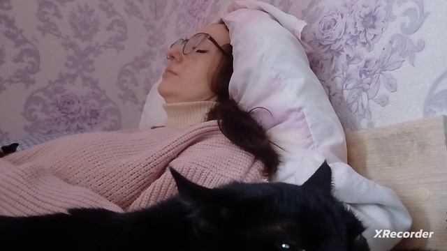 Самое спокойное видео на планете смотреть онлайн