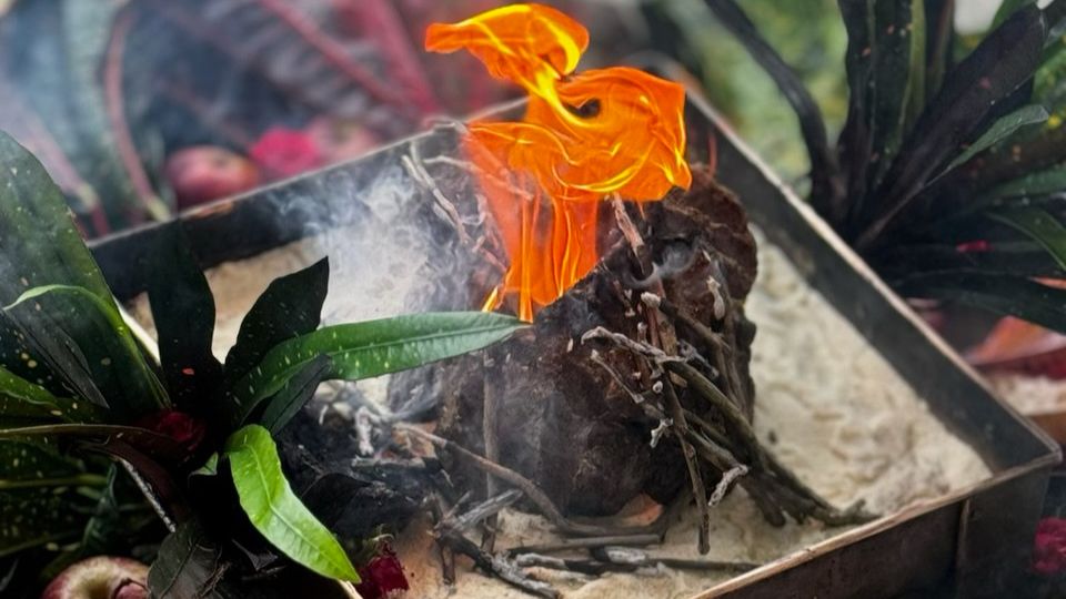 14.01.2025 Нрисимха ягья