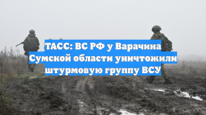 ТАСС: ВС РФ у Варачина Сумской области уничтожили штурмовую группу ВСУ