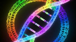 Отделить себя от личности (программ аватара) #осознанность #перекодированиепрошлого #магирани