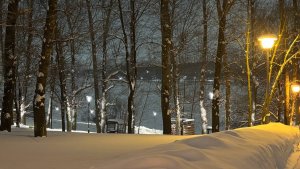 Ледовая обстановка в Москве: отправил жену на пруд после снегопадов и чуть ее не утопил 🤣