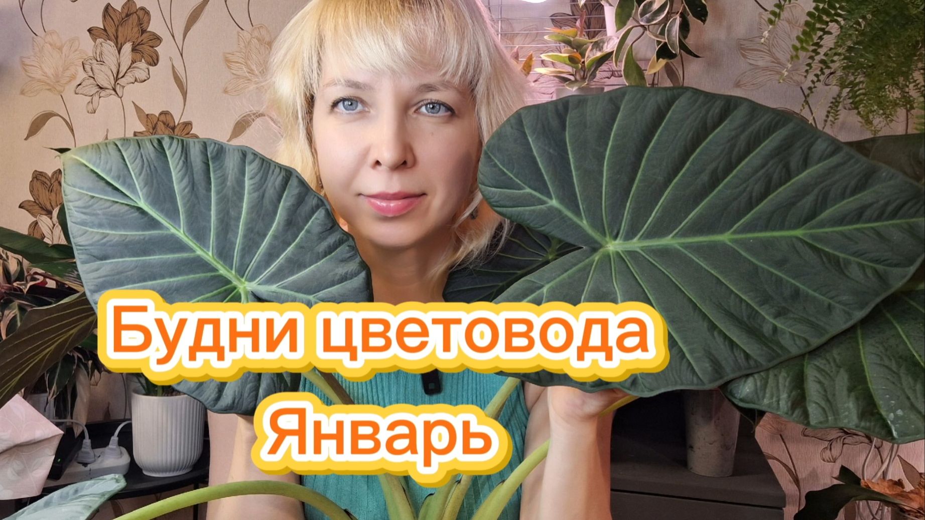 Будни цветовода. Январь смотреть онлайн