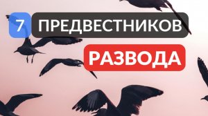 7 предвестников развода
