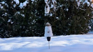 Активная механическая приманка на хищника