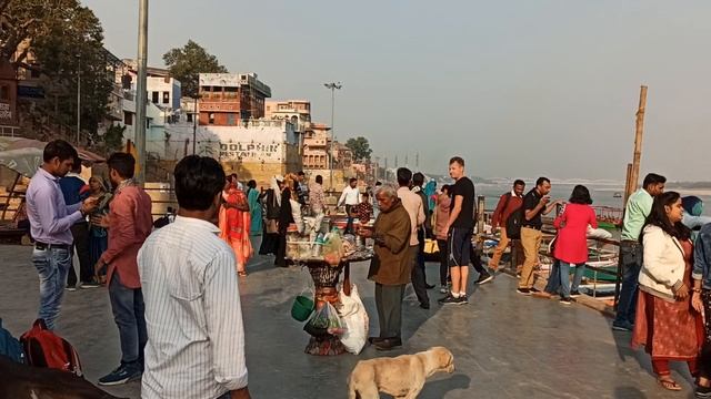 Коровий отдых! смотреть онлайн