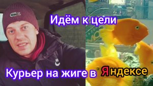 Курьер на жиге. Работаю без выходных  Выполняю цель в Яндекс доставке