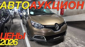 ЯНВАРСКИЕ ТОРГИ В ЯПОНИИ / MITSUBISHI GALANT FORTIS HONDA FREED STEPWGN MAZDA DEMIO RENAULT CAPTUR
