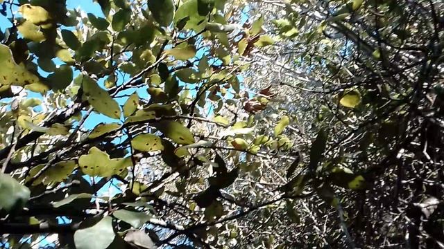 ПОЭЗИЯ горе страшное