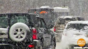 Полный бак и теплое одеяло: эксперт дал три совета водителям при поездках в метель