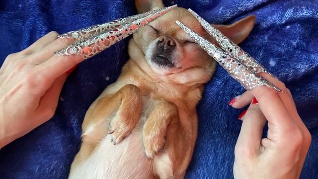 ASMR deep sleep in 15 minutes 💤 смотреть онлайн