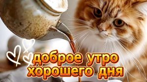 Красивые открытки доброе утро хорошего дня