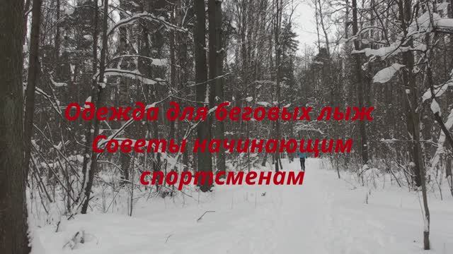 Как правильно одеваться для тренировок на беговых лыжах смотреть онлайн