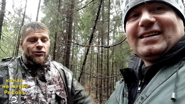 Поиск грибов у охотничьей вышки 17.10.2023 Никологоры