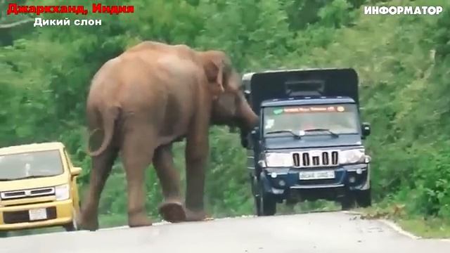 Новости Сегодня 13.01.2026 - ЧП, Катаклизмы, Россия, Москва, События Дня, Таиланд Индия США Европа смотреть онлайн
