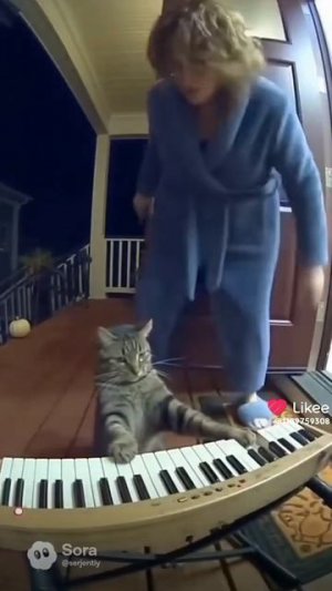 НЕЙРОСЕТЬ СМЕШНОЕ!🤣🤣🤣