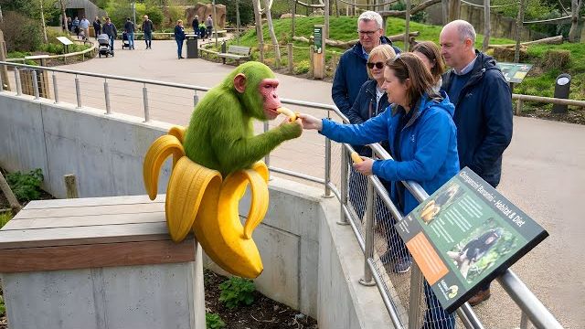 ЗООПАРК?! С ИТАЛЬЯНСКИМИ МЕМАМИ! ШИМПАНЗИНИ БАНАНИНИ В БРЕЙНРОТ ЗООПАРКЕ НЕРЕАЛЬНАЯ РЕАКЦИЯ