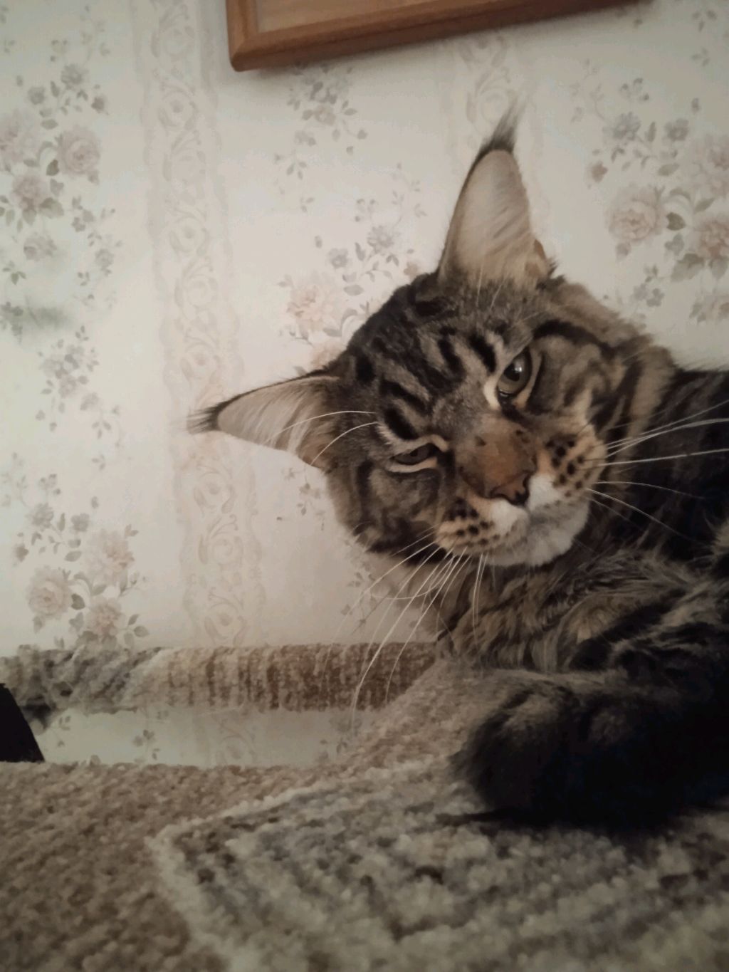 вкусняшки смотреть онлайн