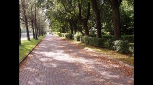 "Жестокое сердце"(Кардилло)исп.Санько Леонид (2011г)