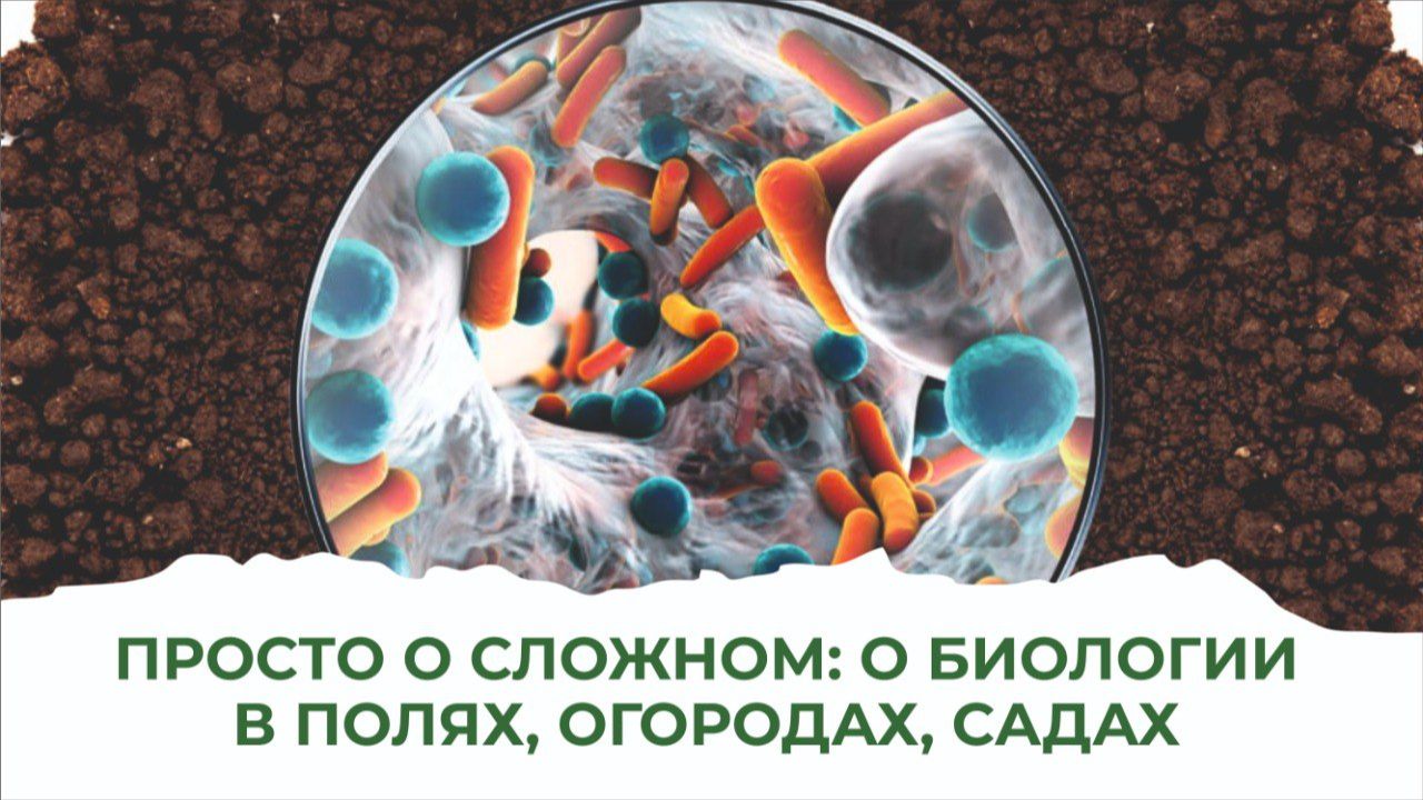 Живая почва. Как вернуть ей силу после химизации? Есть решение от ученого биолога смотреть онлайн