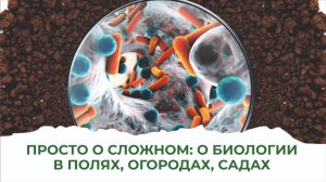 Живая почва. Как вернуть ей силу после химизации? Есть решение от ученого биолога