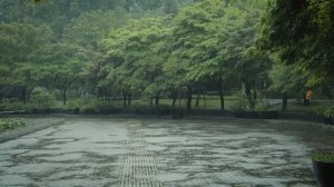 Звук дождя для глубокого сна и расслабления 🌧️Уютная колыбельная Heavy Rain Deep Sleep