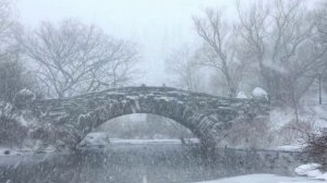 Пред зимой снимаю шляпу Стихи Ольги Бурлака Муз и исп Николая Жукова Видеомонтаж Елены Рыжаковой