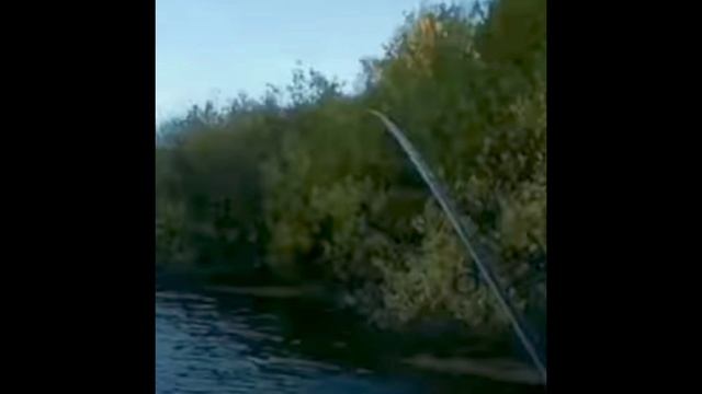 Уловистый попер с АлиЭкспресс смотреть онлайн