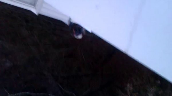 VIDEO-FKR-Alpinist-2023-11n