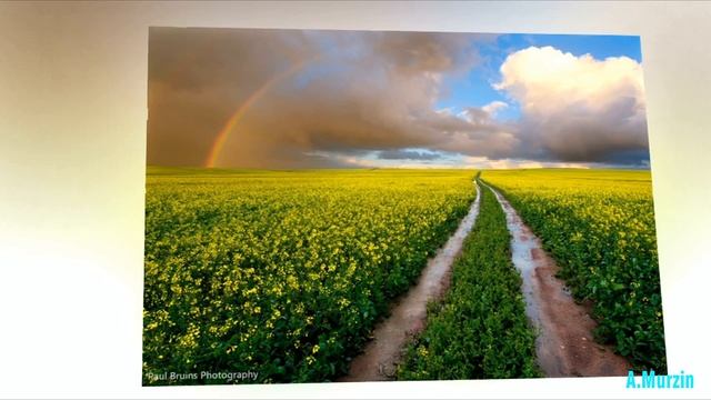 Moments Of Life 259 (Acoustic Mix) смотреть онлайн