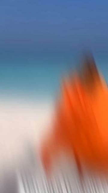 МАЛЬДИВЫ или ЯМАЙКА? #звезды #отдых #новыйгод смотреть онлайн