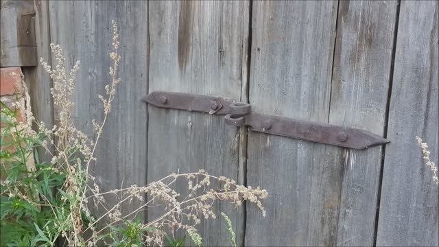 Заброшенный дом. Часть 1 смотреть онлайн