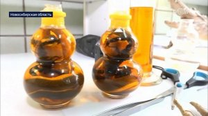 Телеканал «Россия 24», программа «Вести. Дежурная часть», 10.01.2026