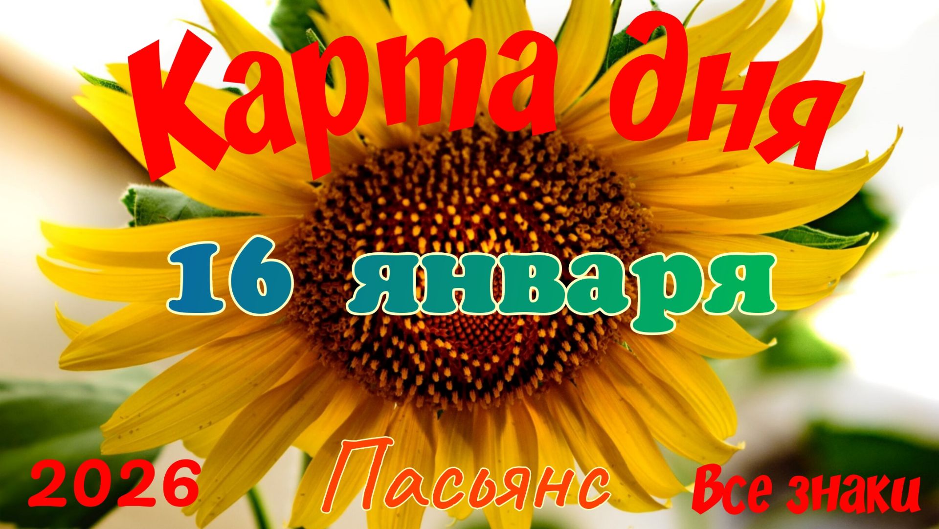 Карта дня❄16 января🎄☃️Пасьянс. Тайм-код в описании🦢 смотреть онлайн