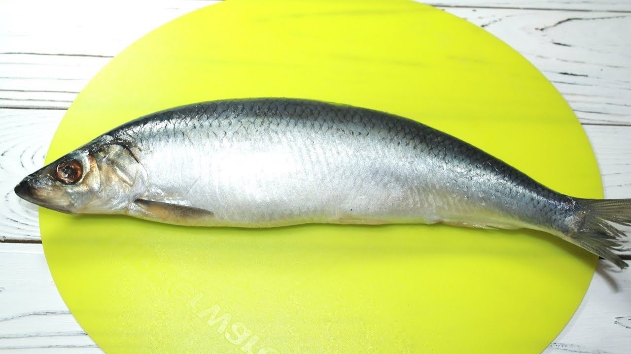 Две Закуски из одной Селедки. Две простые закуски к празднику или просто так смотреть онлайн