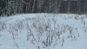 На 170 метров в голову | Возможности Arkon Arma с хорошей опорой