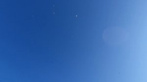 14.01.26 г. Андижанская порода голубей (1)