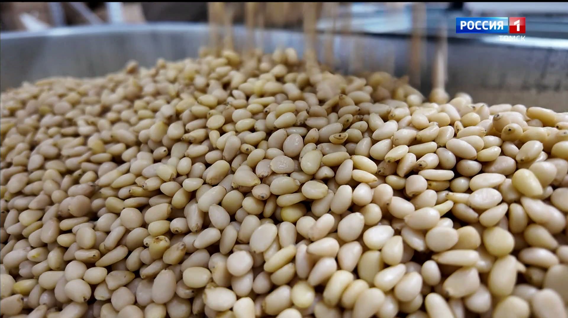 Вести-Томск, выпуск от 14.01.2026 11:30 смотреть онлайн