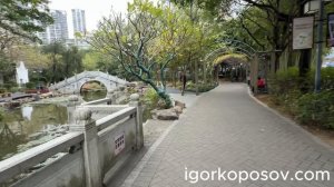 Фучжоу #2 Fuzhou 01.2026 Fuzhou Chating Park традиционный китайский парк 茶亭公园