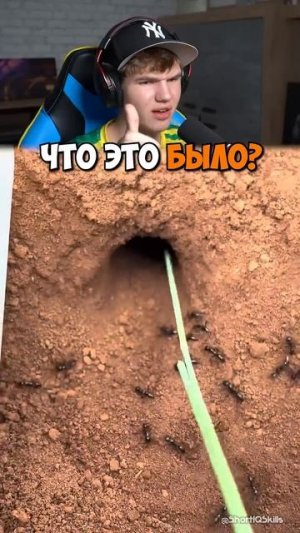 Люди Боятся Этого ЖУТКОГО Существа! 😳👀 #shorts #шортс #интересно #хоррор #страшно #прикол #мем