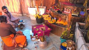 Онлайн Церемония YagyaLive